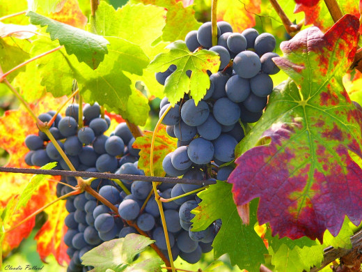40806 (a): :1600x1200